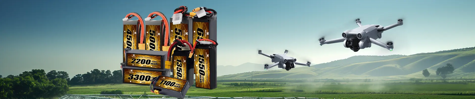 FPV Pili